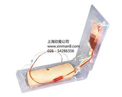 高级肘部静脉穿刺训练模型——医疗护理实训的关键工具